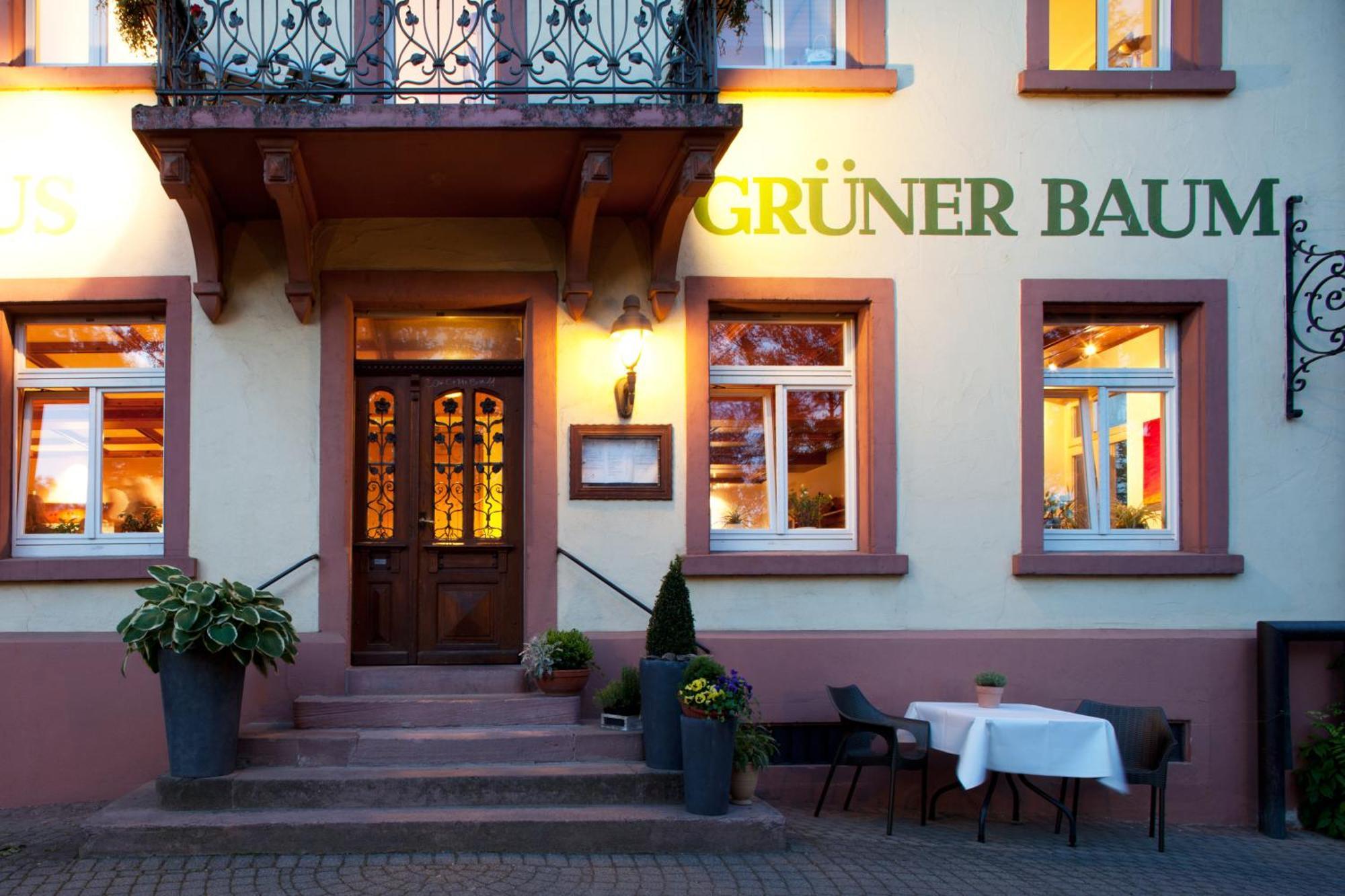 Hotel & Restaurant Gruener Baum Мерцхаузен Экстерьер фото