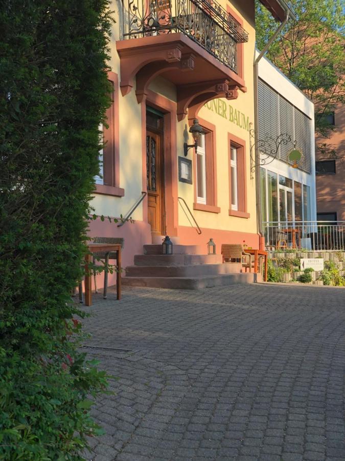 Hotel & Restaurant Gruener Baum Мерцхаузен Экстерьер фото
