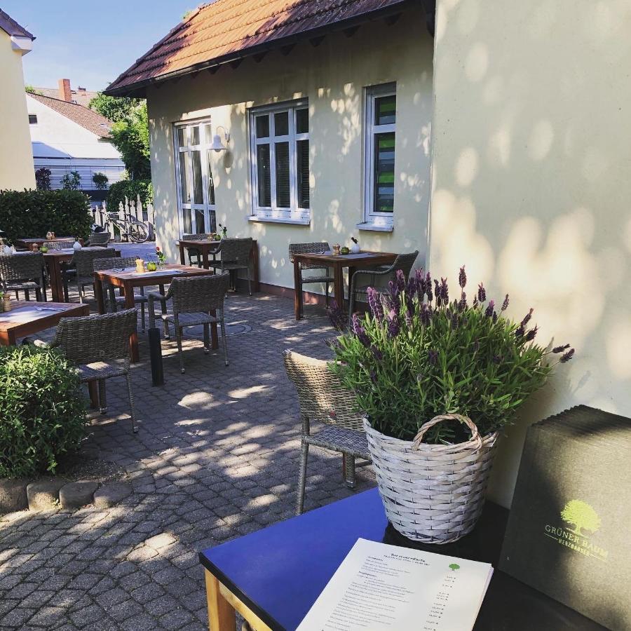 Hotel & Restaurant Gruener Baum Мерцхаузен Экстерьер фото